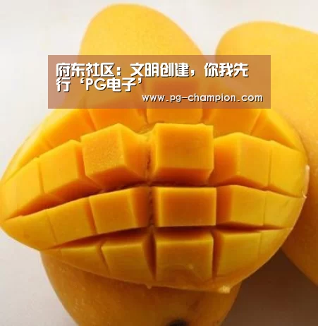 府东社区:文明创建,你我先行‘PG电子’(图4) PG棋牌