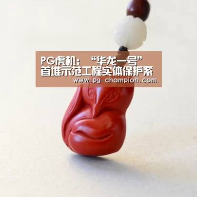 PG虎机:“华龙一号”首堆示范工程实体保护系统通过国防科工局检查验收(图2) PG虎机