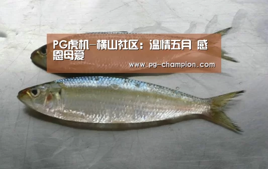 PG电子