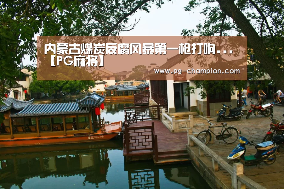内蒙古煤炭反腐风暴第一枪打响...【PG麻将】(图1) PG虎机