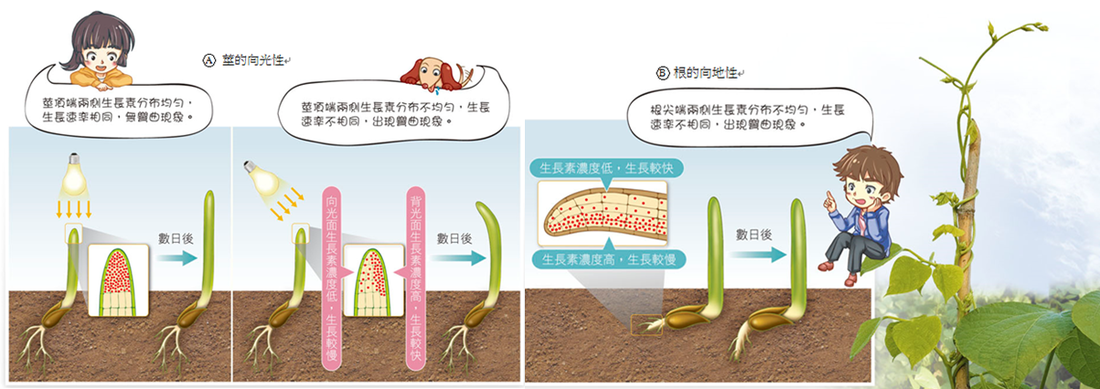 PG电子_
山东能源的“国庆”们(图2) PG棋牌