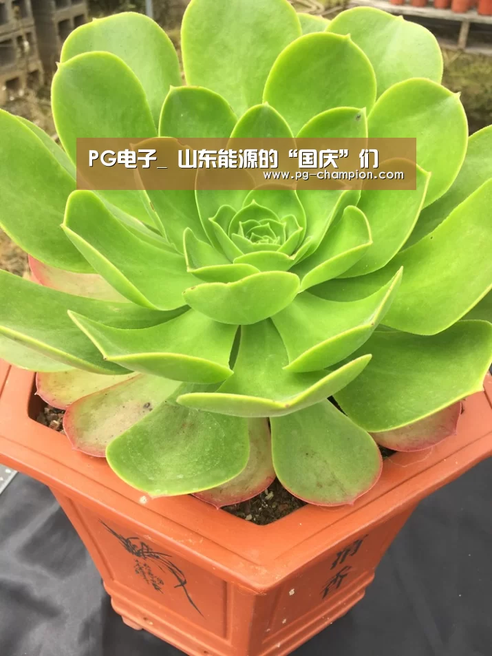 PG电子_
山东能源的“国庆”们(图3) PG电子