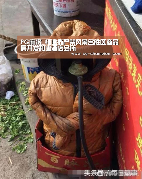 PG麻将_福建拟严禁风景名胜区商品房开发和建酒店会所(图3) PG虎机