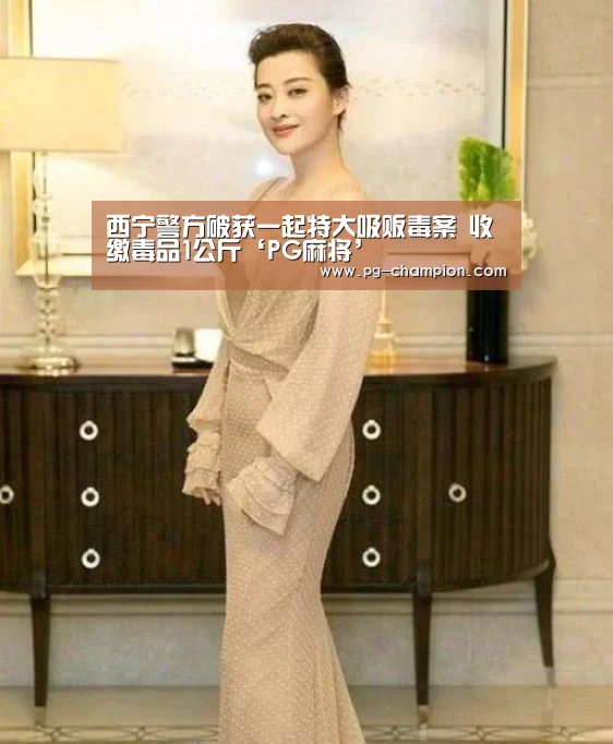 西宁警方破获一起特大吸贩毒案 收缴毒品1公斤‘PG麻将’(图3) PG棋牌