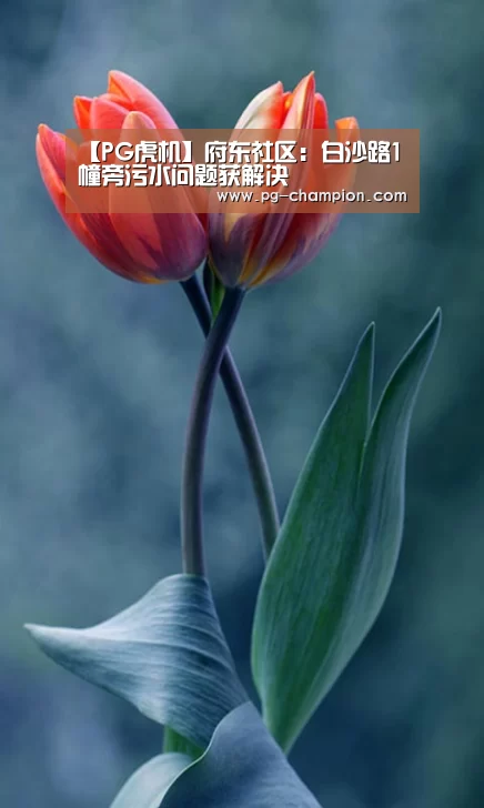 【PG虎机】府东社区:白沙路1幢旁污水问题获解决(图1) PG棋牌