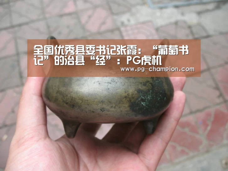 全国优秀县委书记张霞:“葡萄书记”的治县“经”:PG虎机(图1) PG棋牌
