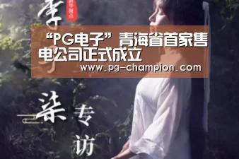 “PG电子”青海省首家售电公司正式成立(图2) PG虎机