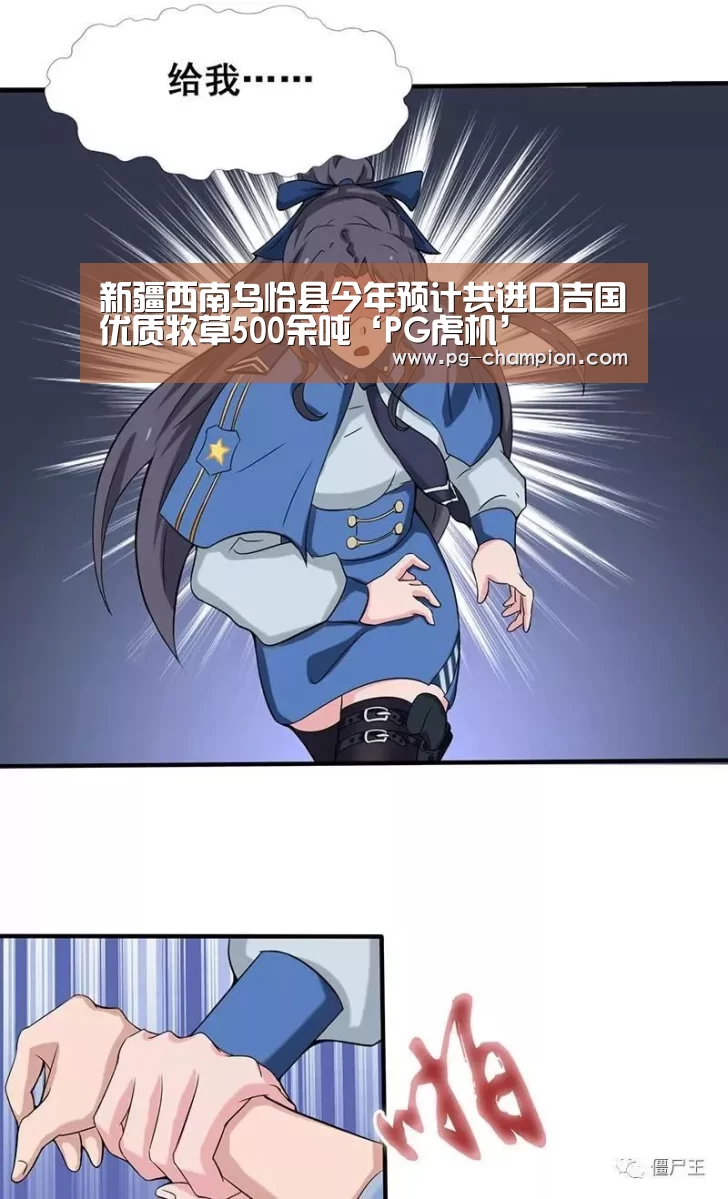 新疆西南乌恰县今年预计共进口吉国优质牧草500余吨‘PG虎机’(图1) PG虎机