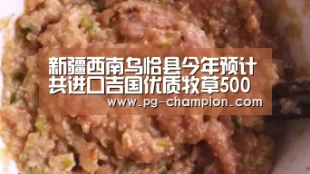 新疆西南乌恰县今年预计共进口吉国优质牧草500余吨‘PG虎机’(图3) PG麻将
